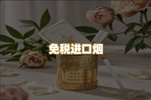 免税进口烟